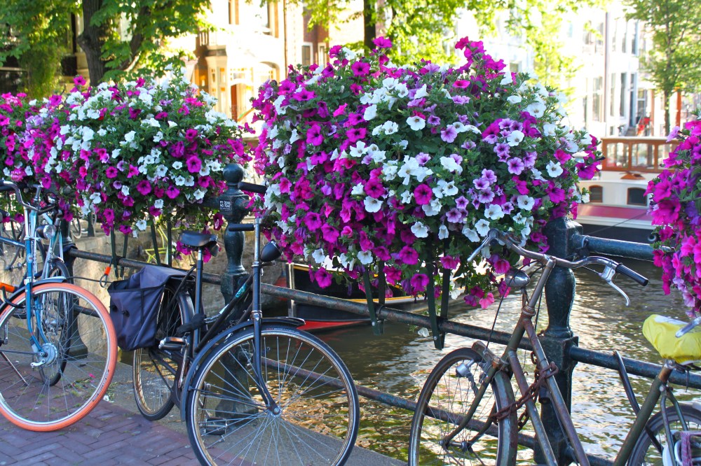 Amsterdam Bikes Flowers