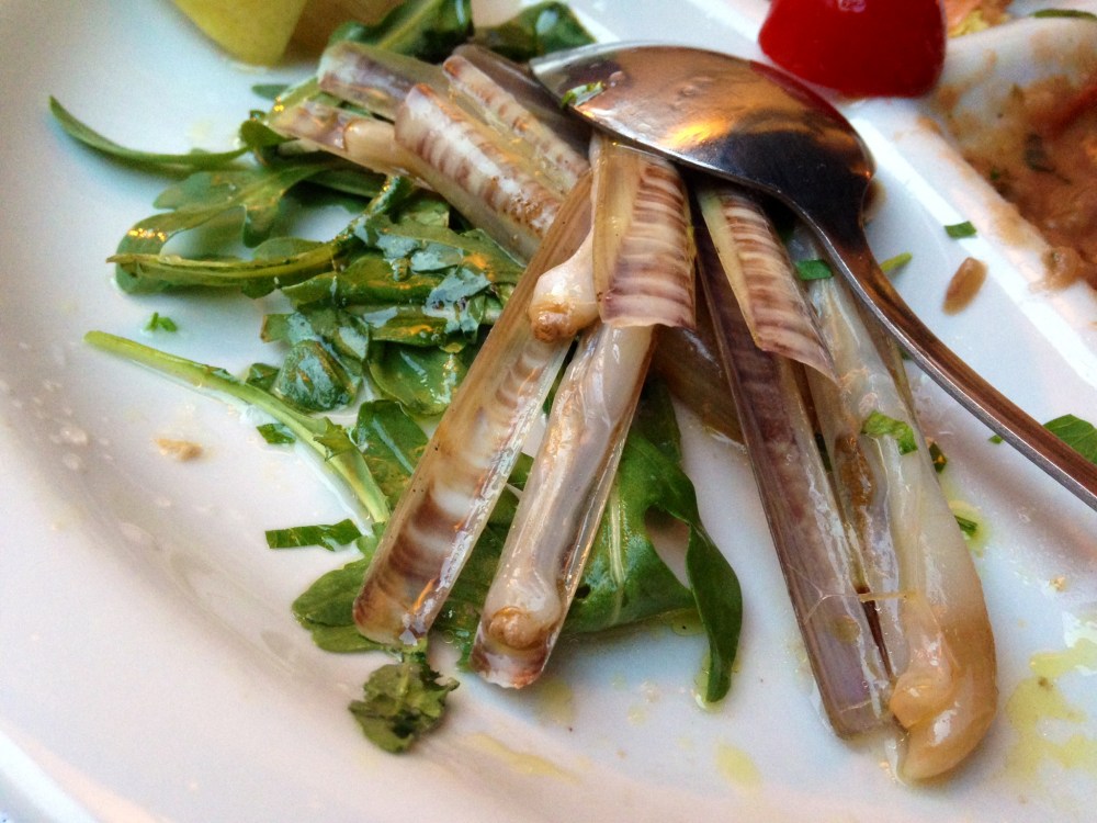 Cannolicchi served with arugula and olive oil