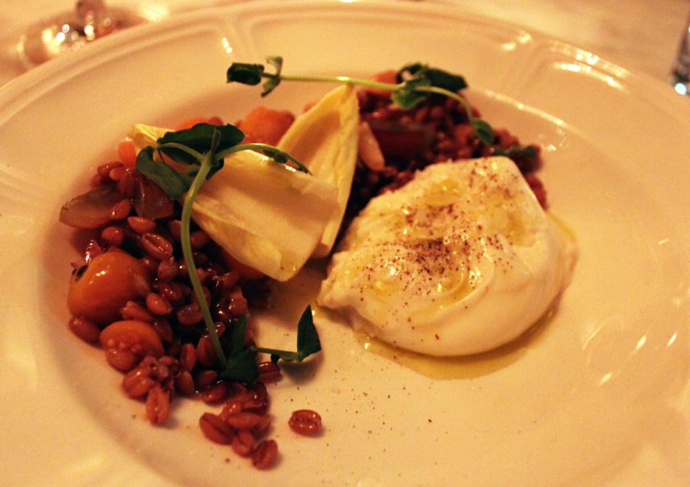 Celeste Chicago Anson Mills Farro & Burrata Salad
