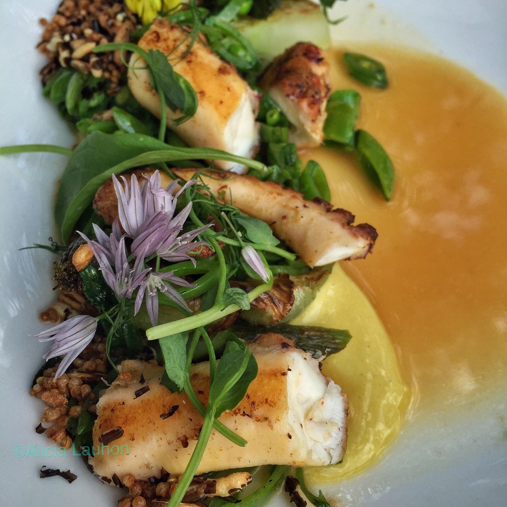 Wood Chicago Spanish Octopus